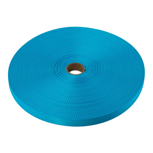 Flat Polypropylene strap 1 inch webbing (1 ft)