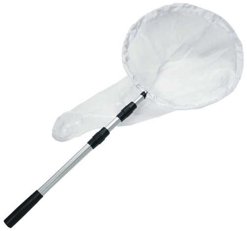 butterfly net