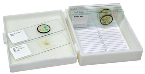 Microscope Kit for Apologia Marine Biology