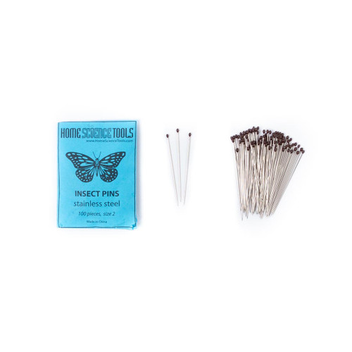 Insect pins and the box they come in