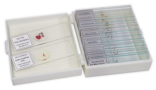 General Microscope Slide Set
