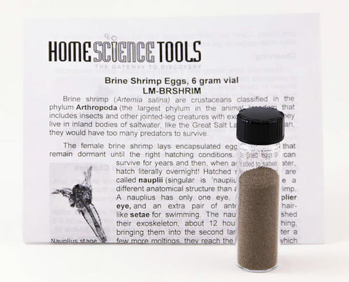 Brine Shrimp Eggs, 6g vial