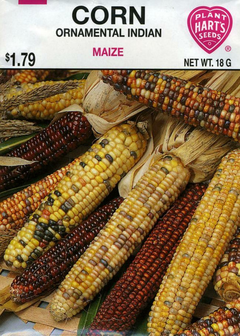Seeds, corn, pack