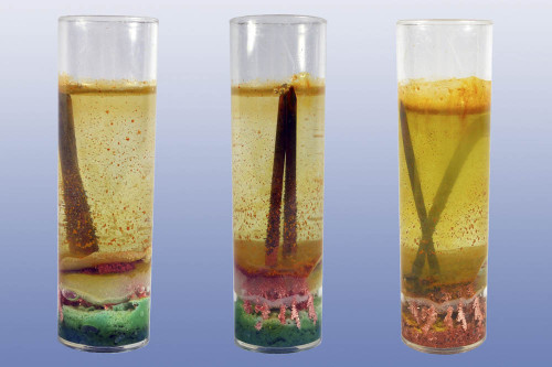 Formation of a Native Copper Mineral Deposit, Small Group Version