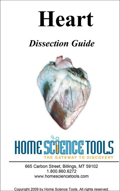 Heart Dissection Guide