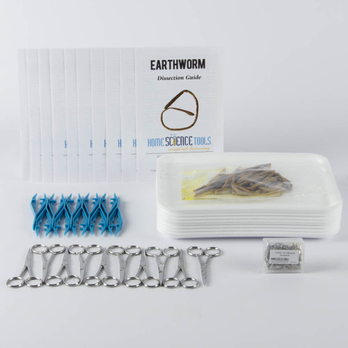 Classroom Worm Dissection Kit