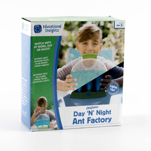 Day 'N' Night Ant Factory
