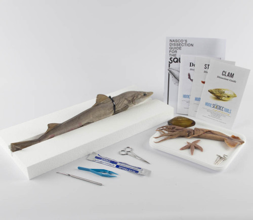 Marine Biology Dissection Kit