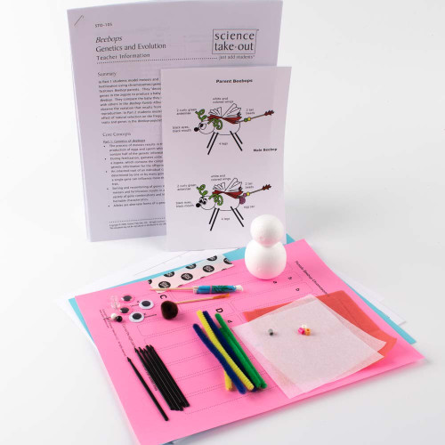 Beebops Genetics and Evolution Kit