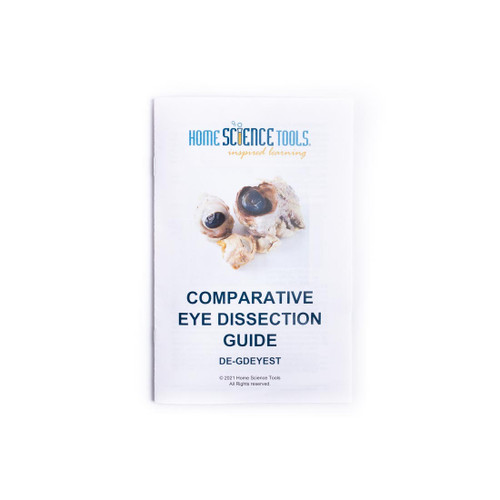 Comparative Eye Dissection Guide