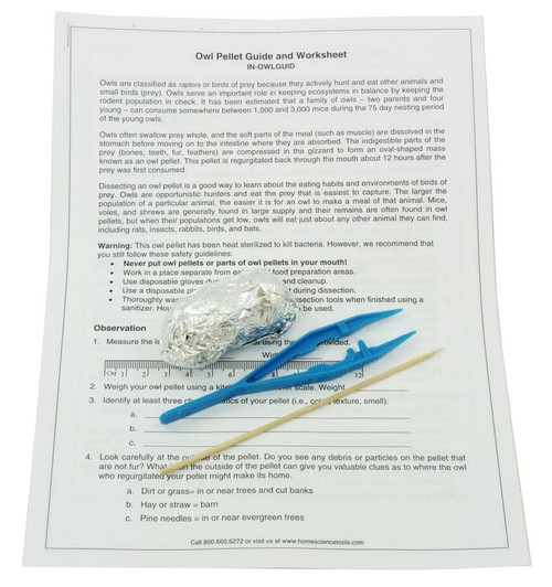 Jumbo Owl Pellet Study Kit