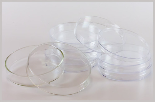 Petri Dishes