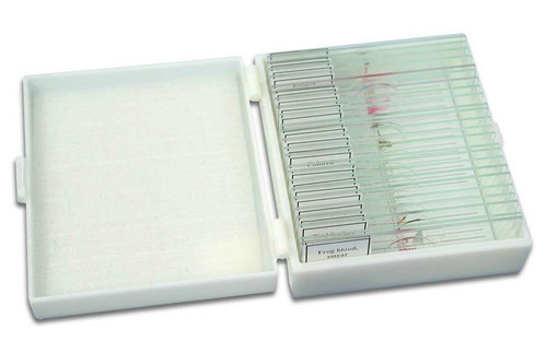 Complete Elementary Slide Set, 25 slides