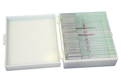 Zoology Slide Set