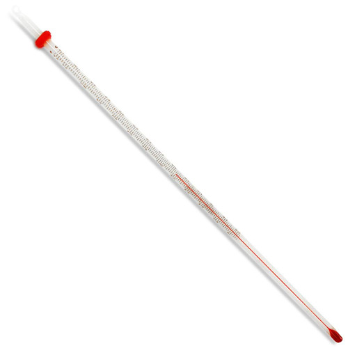 Thermometer, Fahrenheit & Celsius, 12"