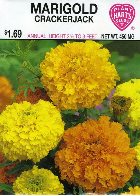 Seeds, marigold, pack