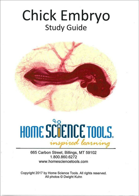 Chick Embryo Study Guide
