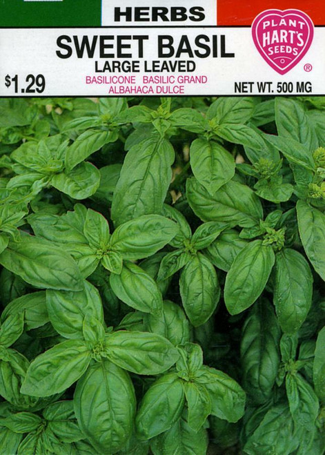 Seeds, sweet basil, pack