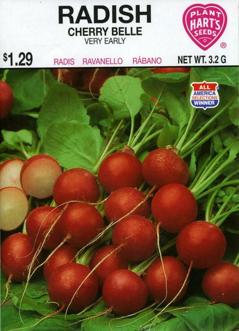 Seeds, radish, pack
