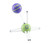 Happy Atoms Introductory Set