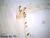 Insect legs slide, four types, w.m.