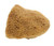 Sponge, natural, 2"
