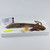 Dissection Kit for Apologia Marine Biology