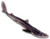 dogfish shark for dissection