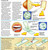The World of the Microscope