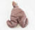 Sheep Uterus Specimen, Pregnant with Embryo