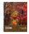 Explore Science: Seasons