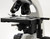 binocular microscope stage