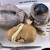 Mammal Organs Dissection Kit