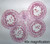 Lilium (Lily) slide, anther meiosis