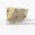 Limestone, fossiliferous, large