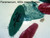 Protozoa mix slide, w.m.