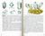 Rocks Minerals & Gems Golden Guide