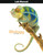 BJU Press Biology 10 Lab Manual