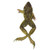 Frog Specimen, Grass, 3.5"-4", Plain