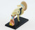 4D Human Anatomy Ear Model