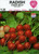 Seeds, radish, pack