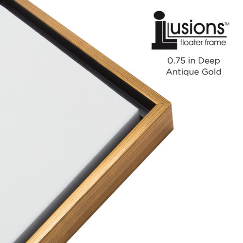Illusions Floater Wood Frame 3/4 in. Deep 12x16 Antique Gold - (88913)