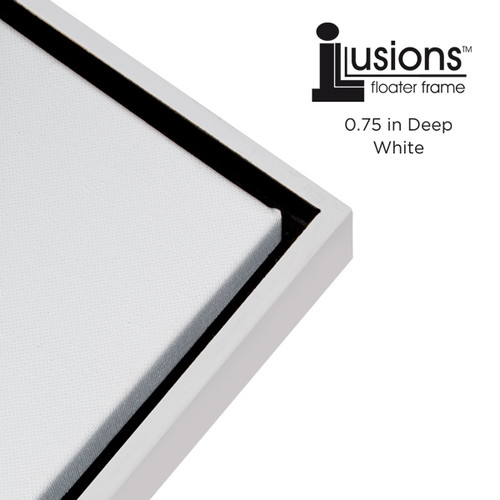 Illusions Floater Wood Frame 3/4 in. Deep 20x20 White/Black - (89945)