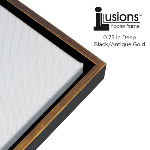 Illusions Floater Wood Frame 3/4 in. Deep 8x10 Gold/Black - (69122)