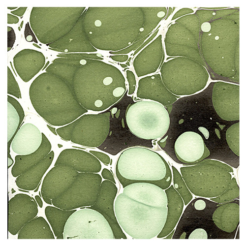 Black Ink Molecular Paper Jade & Riverstone 22x30 - (1000084873)