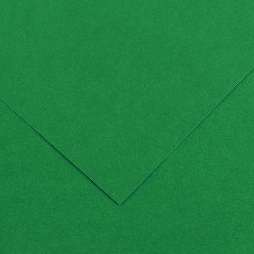 Canson Colorline Art Paper 150 gsm 19"x25" Moss Green - (1000076417)