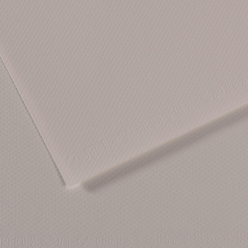 Canson Mi-Teintes Art Paper 19"x25" #186 Moon Grey - (200037369)