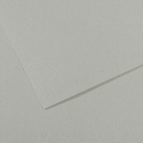 Canson Mi-Teintes Art Paper 19"x25" #354 Sky Grey - (36765)