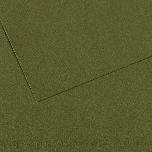 Canson Mi-Teintes Art Paper 19x25 #448 Ivy - (36774)