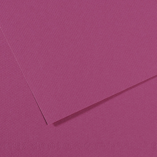 Canson Mi-Teintes Art Paper 19x25 #507 Violet - (36788)